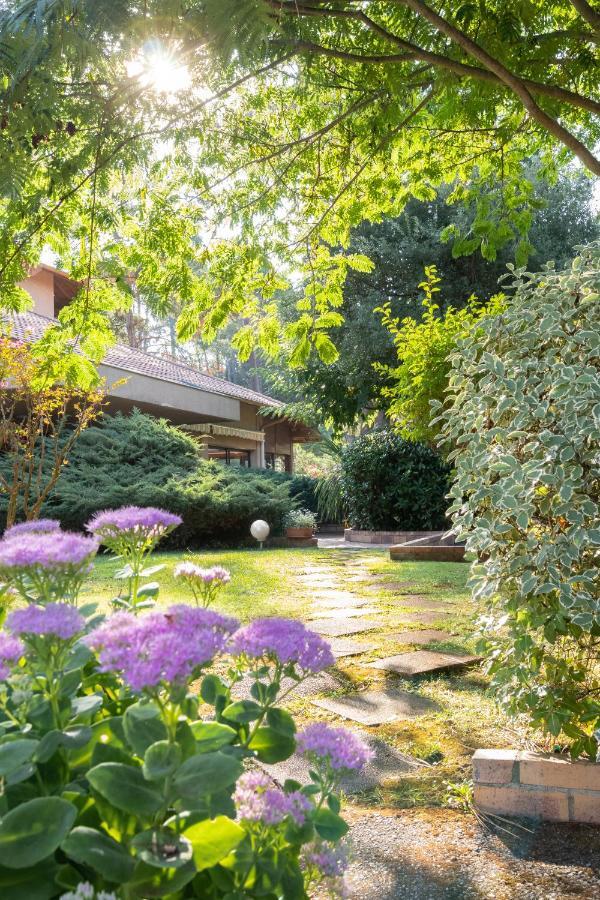 Residence Hoteliere Les Acanthes Сорт-Осгор Экстерьер фото